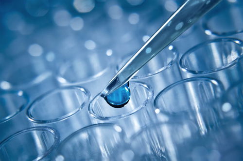 試管嬰兒技術(shù)詳解 一代、二代與三代的區(qū)別及其技術(shù)推廣服務(wù)